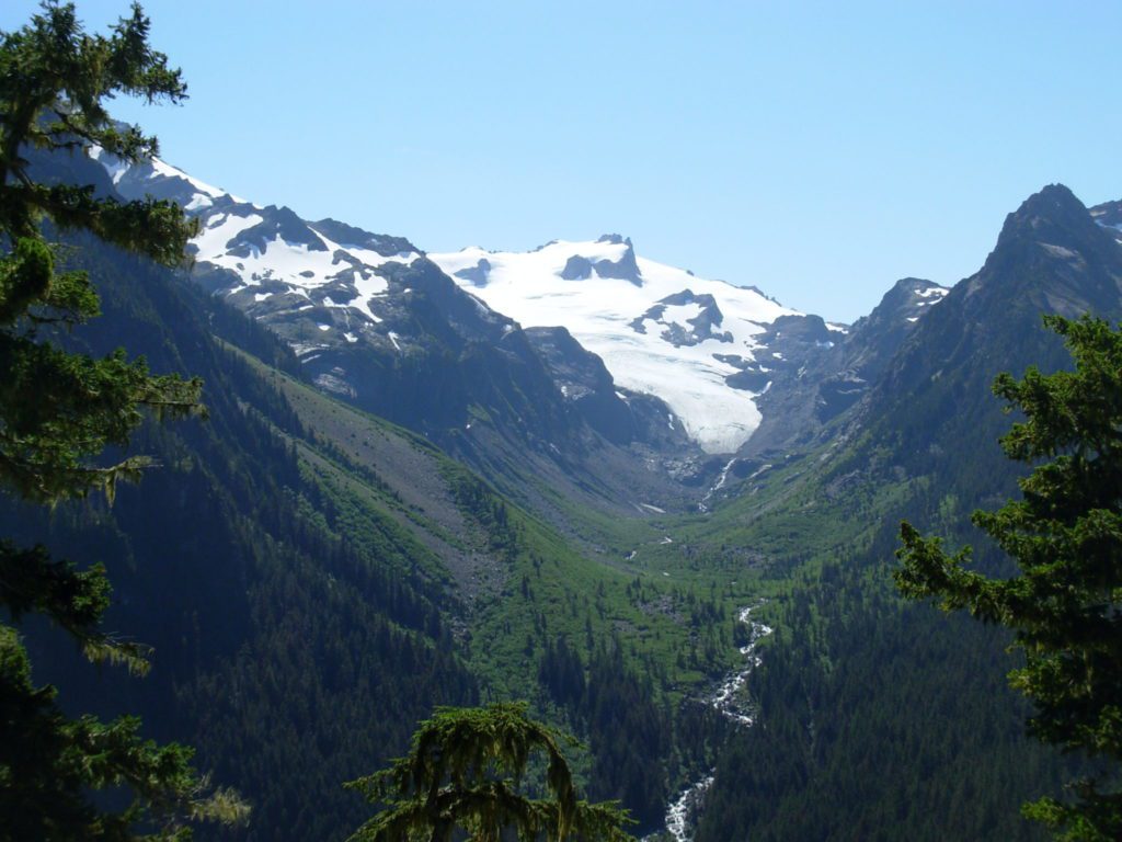 White Glacier and Glacier Creek, Olympic National Park.